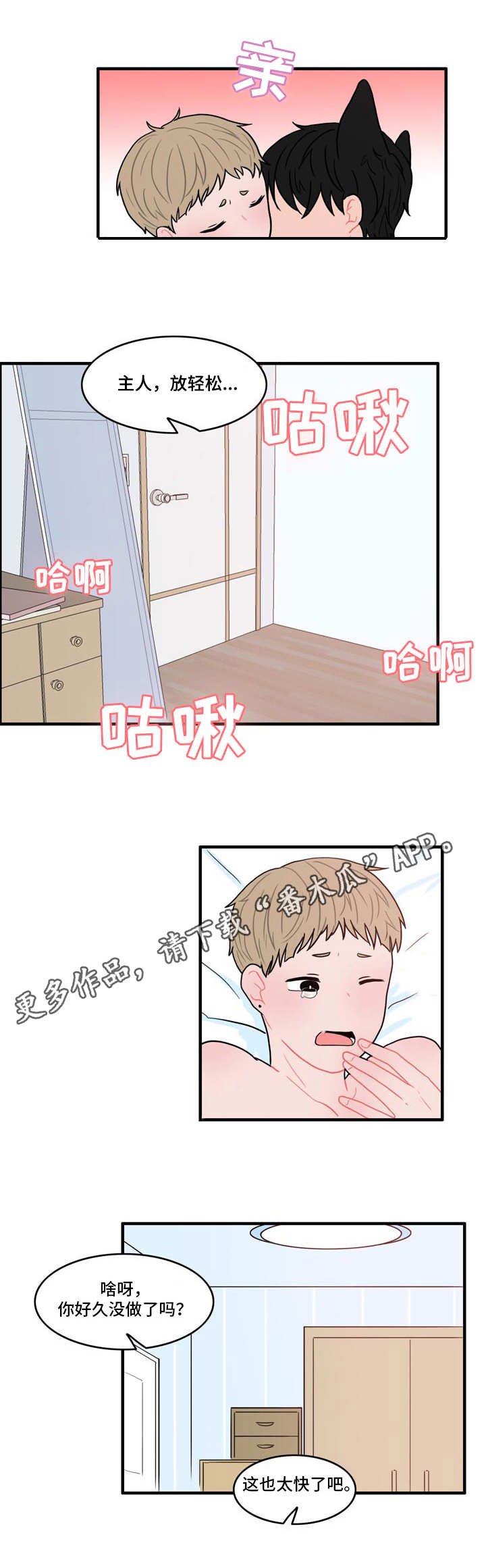 第6章：伪装