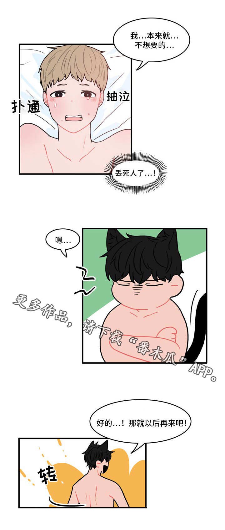 第6章：伪装