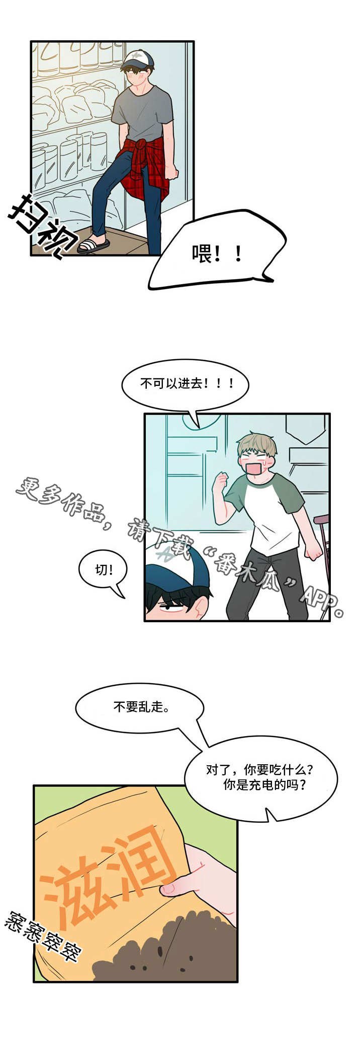 第6章：伪装