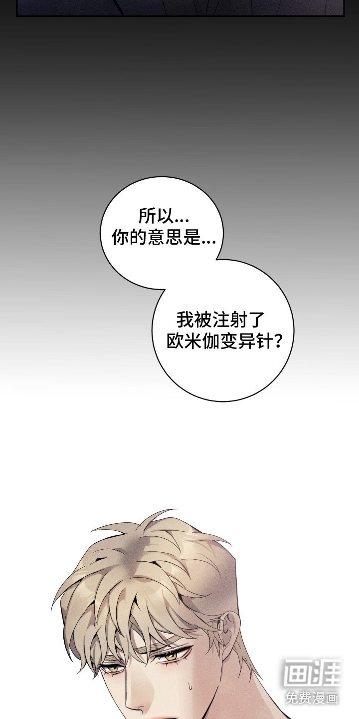 第11章：副作用