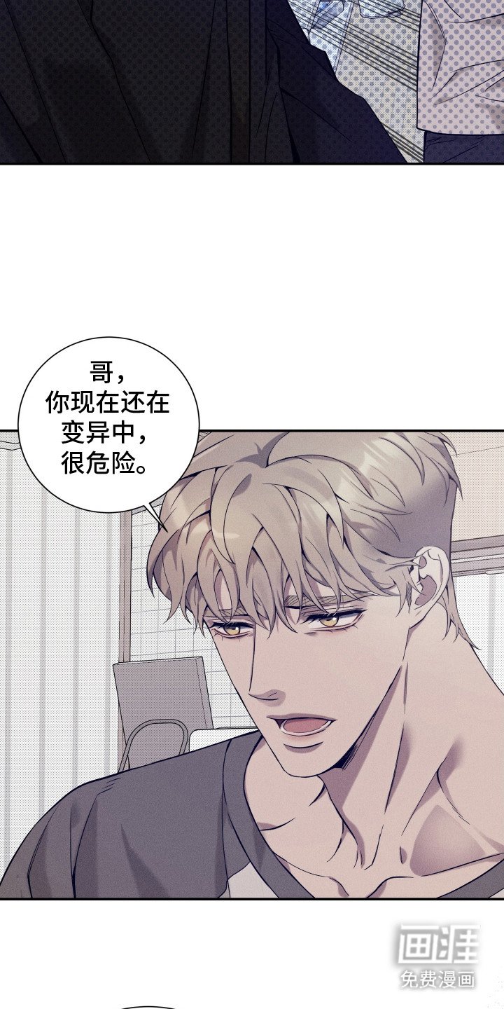 第11章：副作用