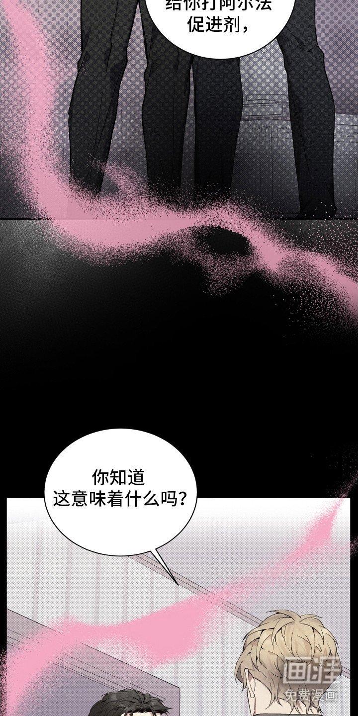 第11章：副作用