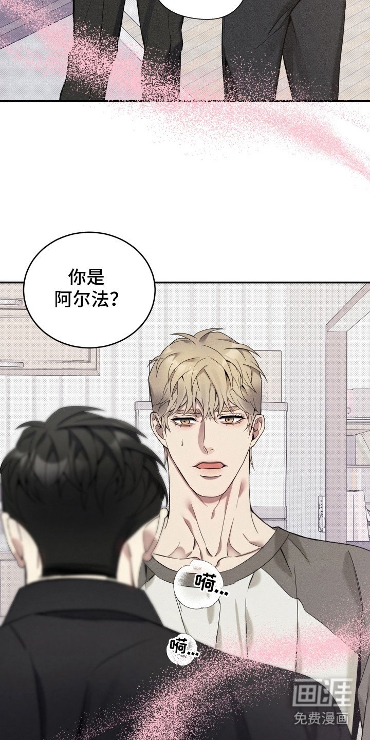 第12章：呕吐