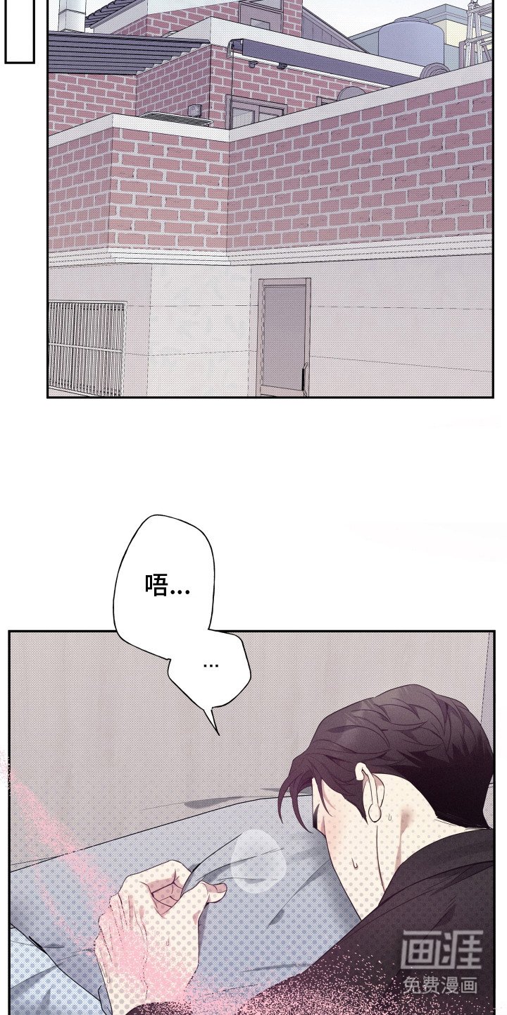 第12章：呕吐