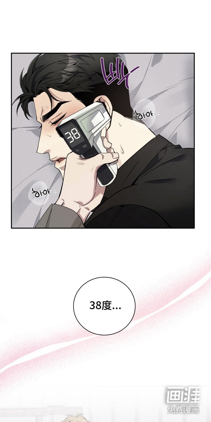 第12章：呕吐