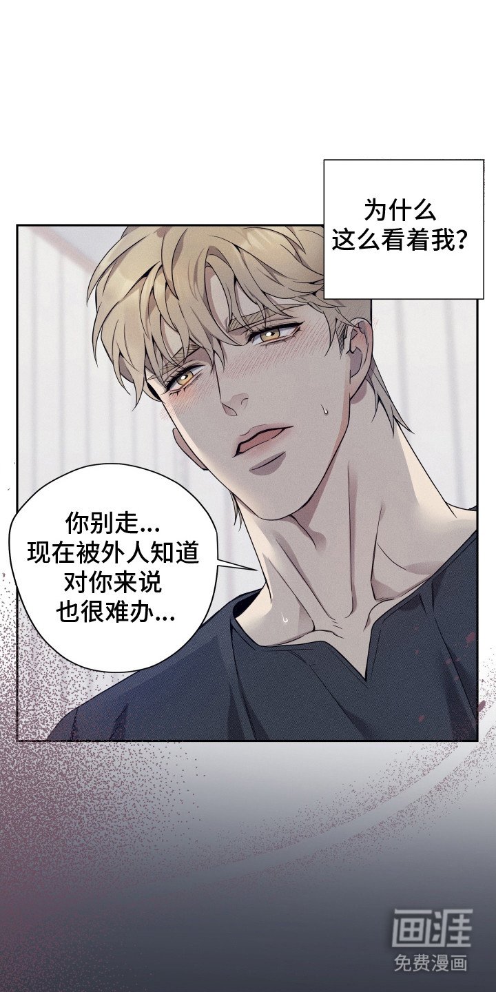 第15章：家族聚会