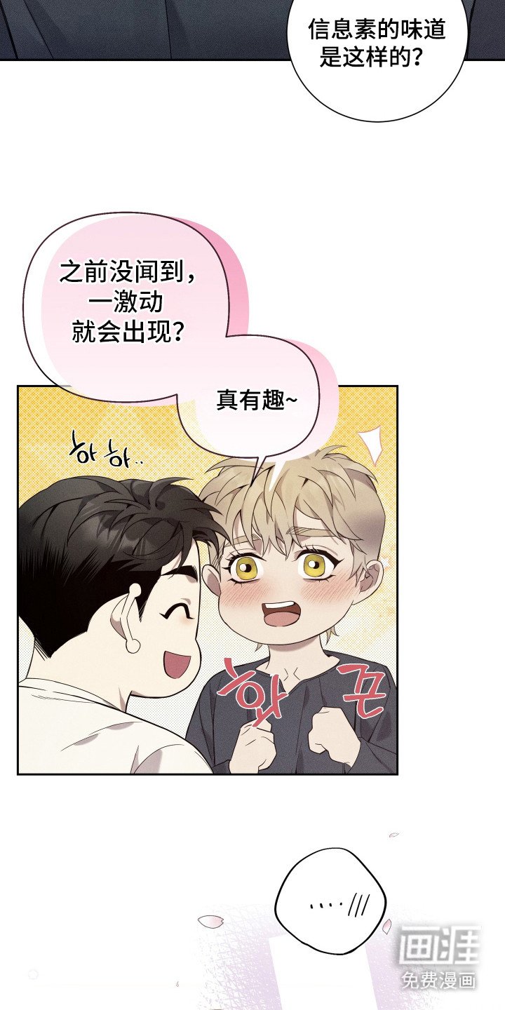 第15章：家族聚会