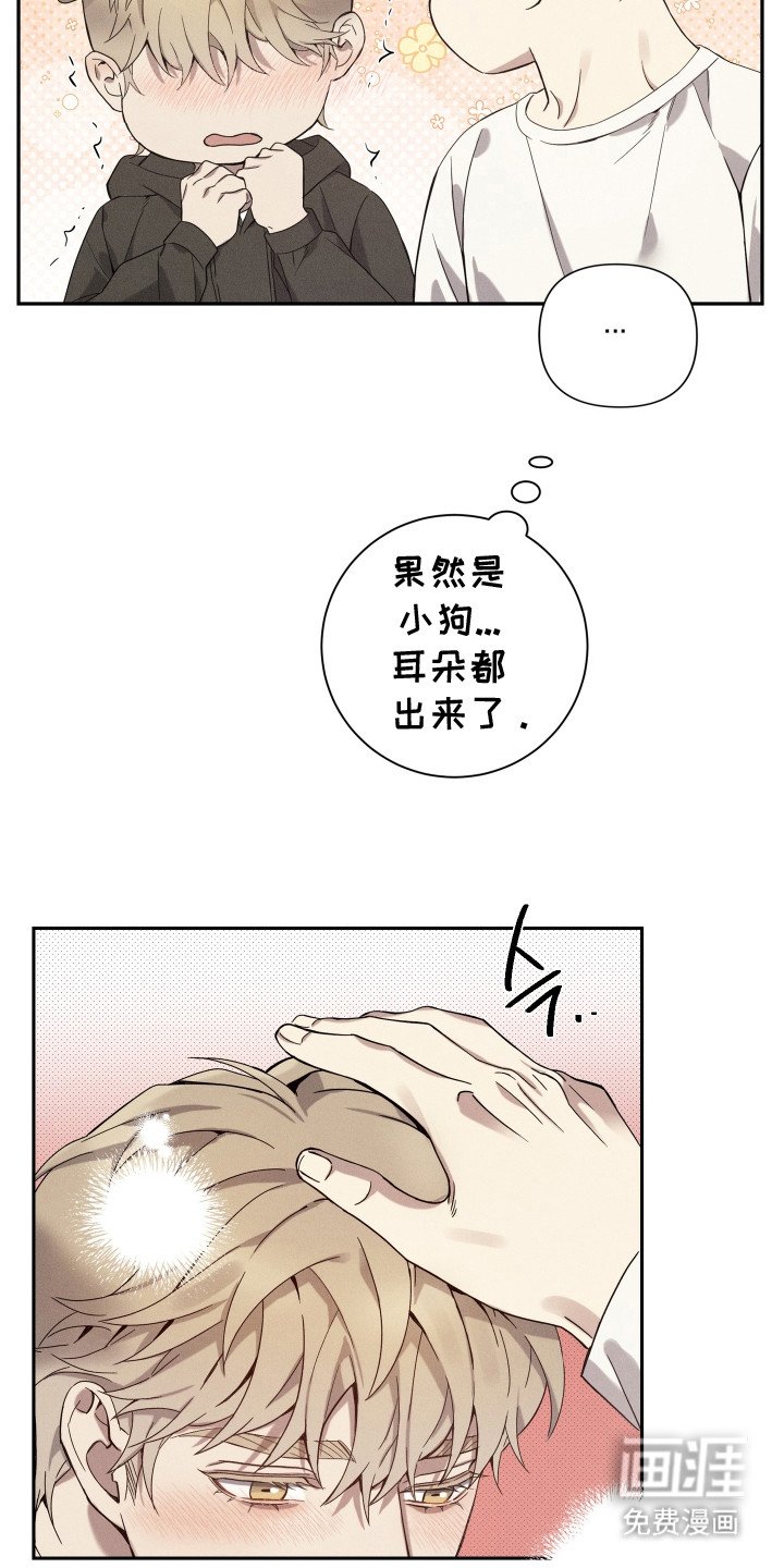第17章：抱一抱
