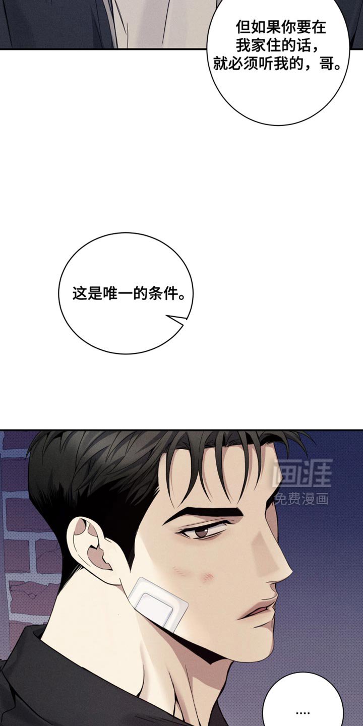 第27章：自我主张