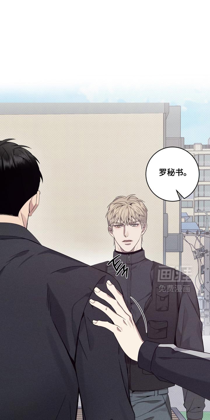 第37章：真是万幸