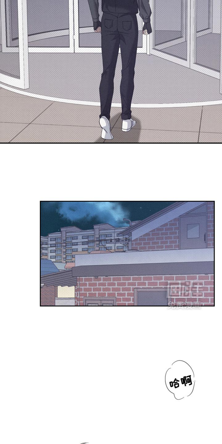 第43章：重新开始