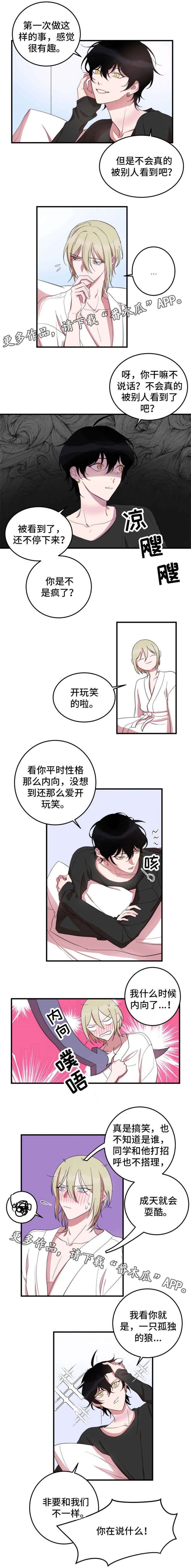 第11章：孤独的狼