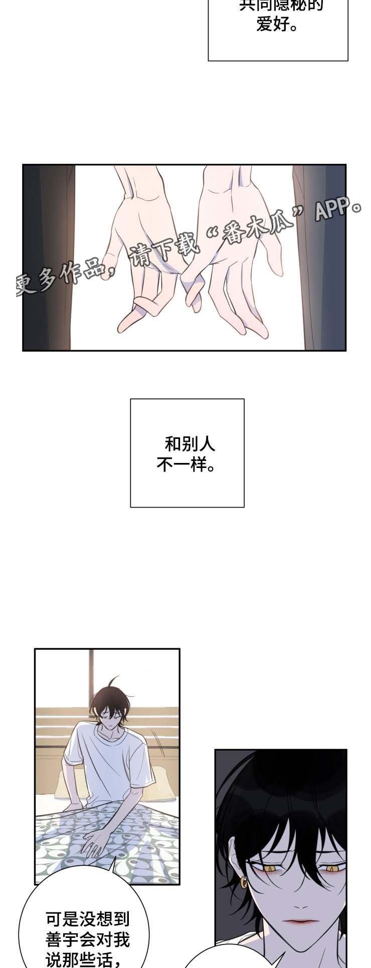 第27章：共同的隐秘爱好