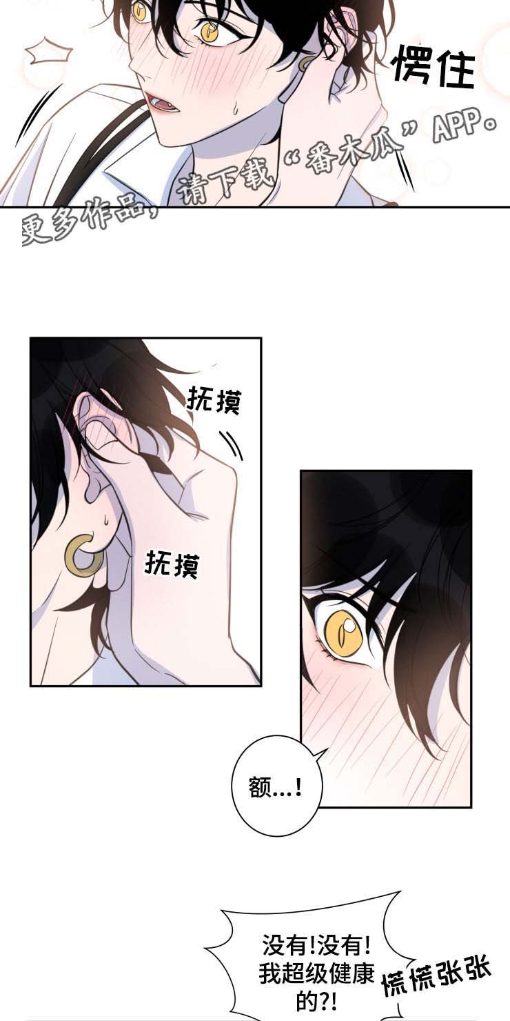 第27章：共同的隐秘爱好