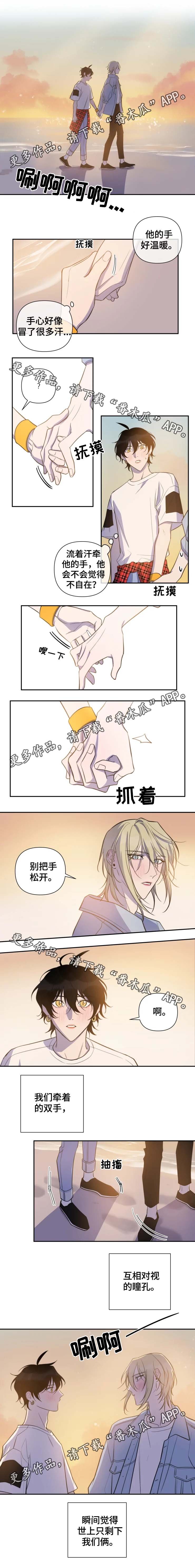 第52章：正式交往