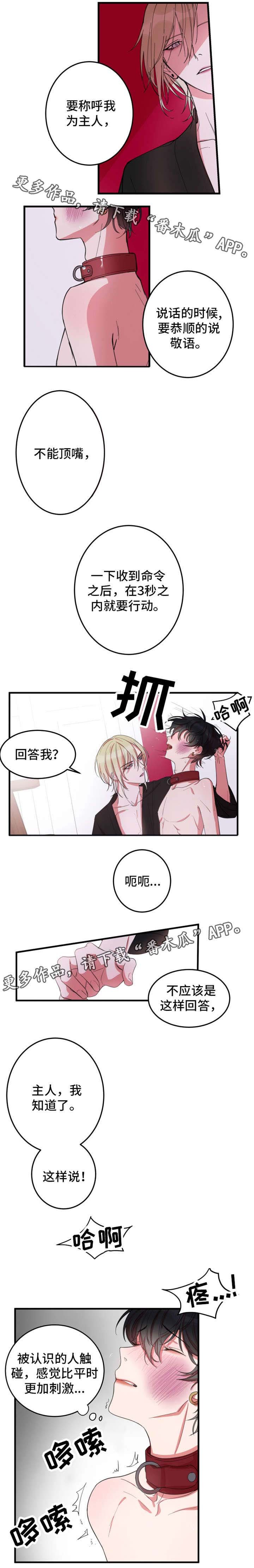 第6章：毫无防备
