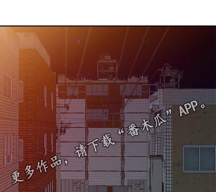 第82章：规则