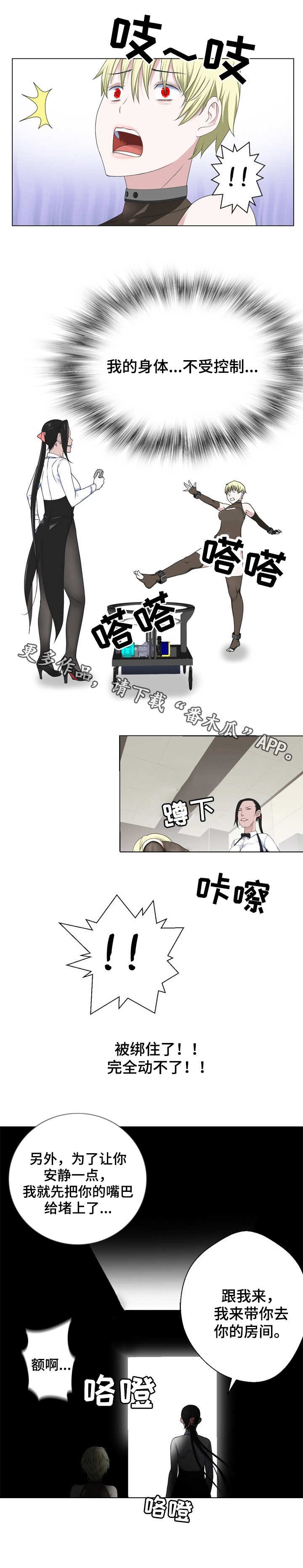 第14章：重获新生