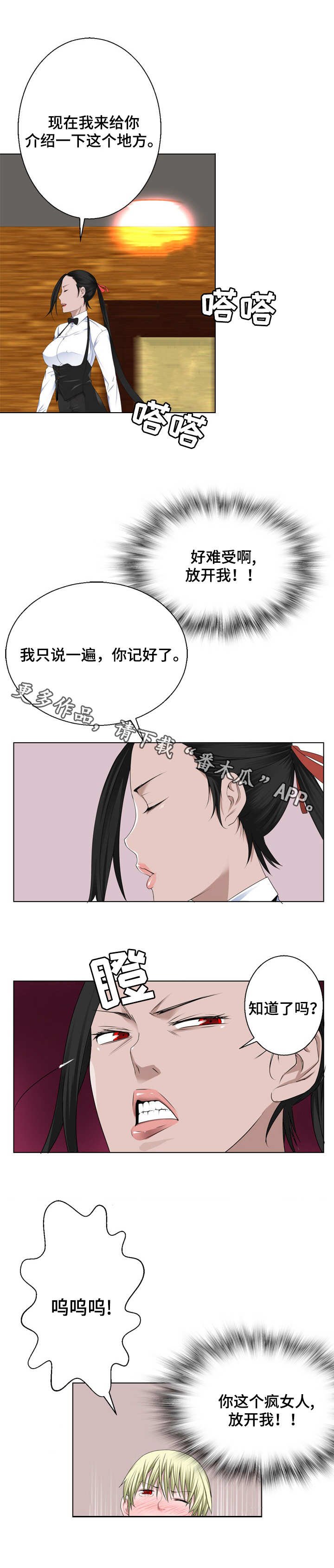 第15章：介绍