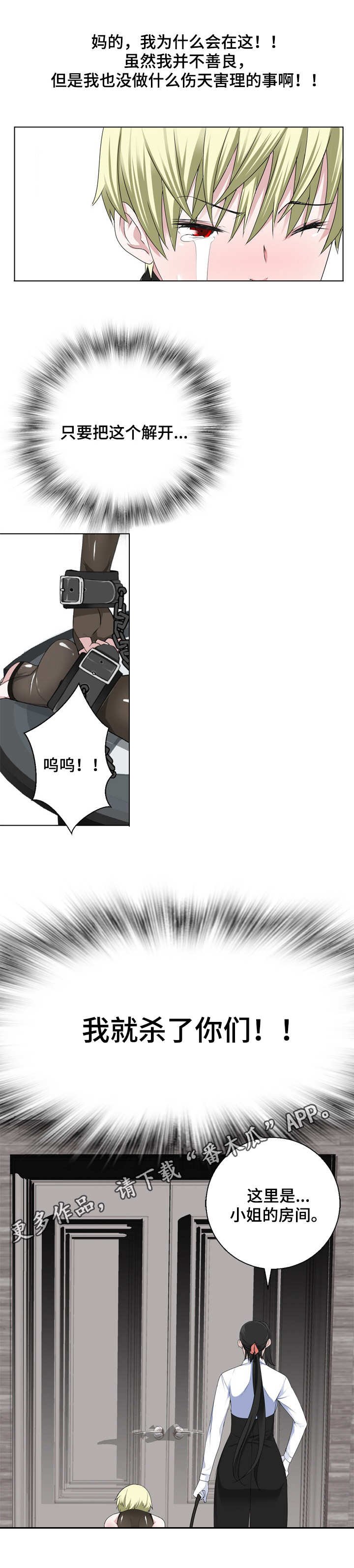第15章：介绍