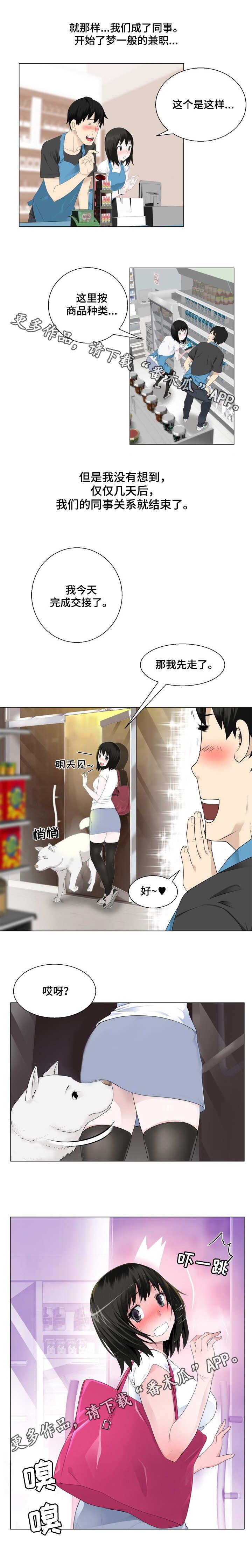 第3章：看见了