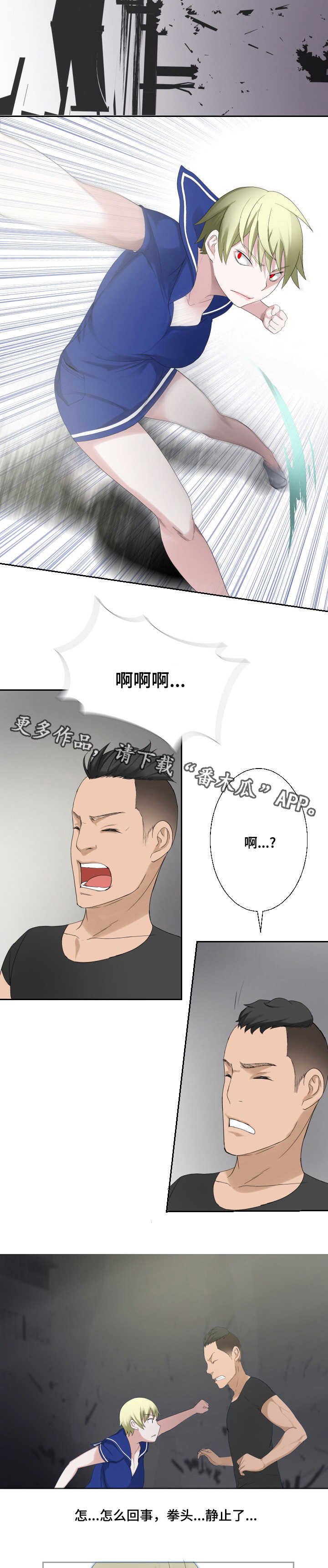 第31章：禁止条例