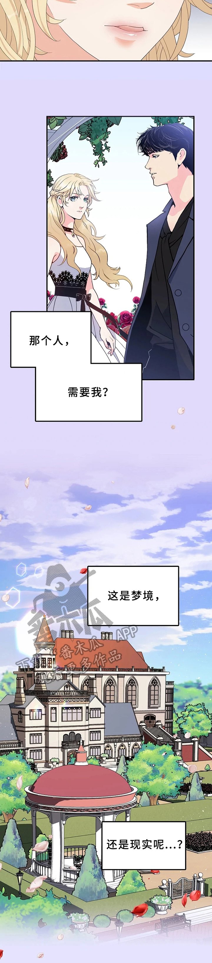 第13章：反问