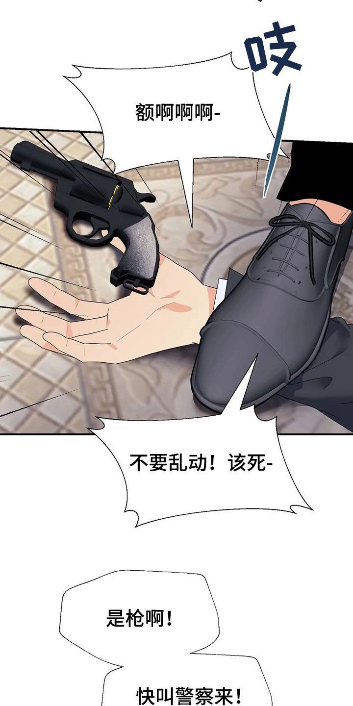 第27章：枪