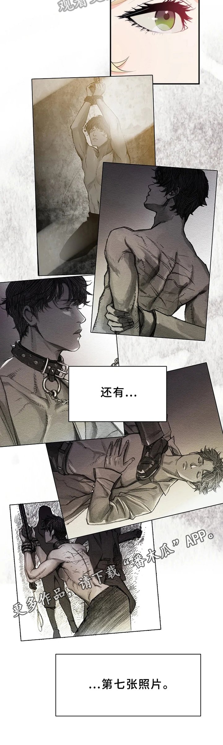 第4章：照片