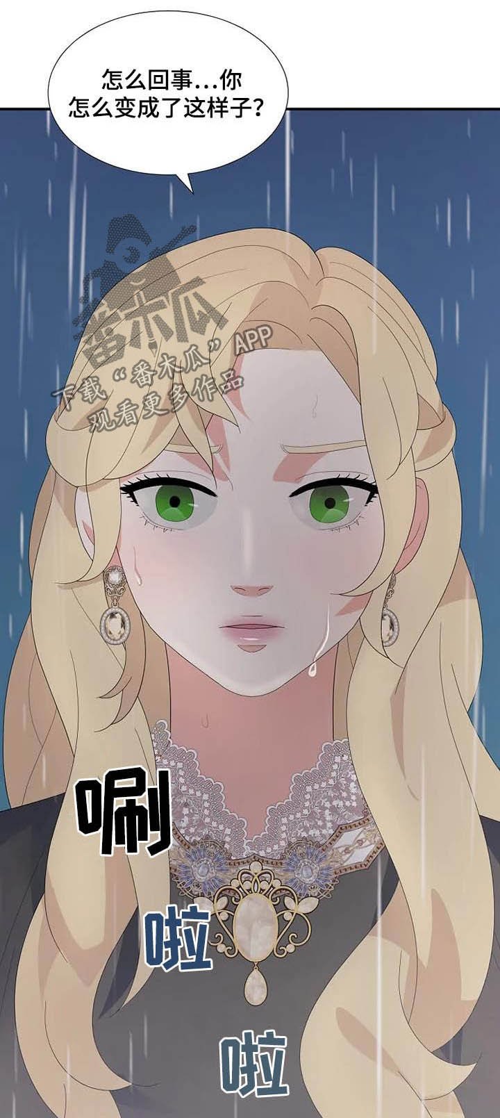 第41章：仅此而已