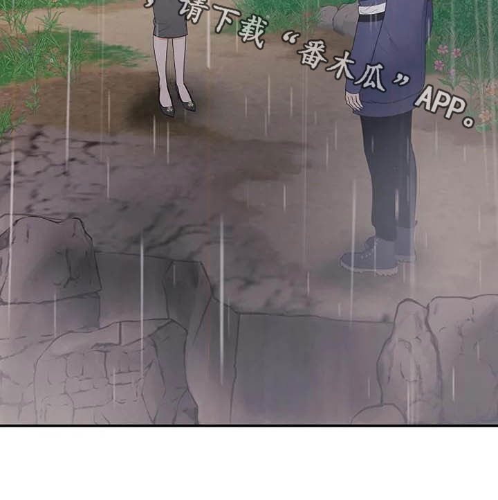 第41章：仅此而已