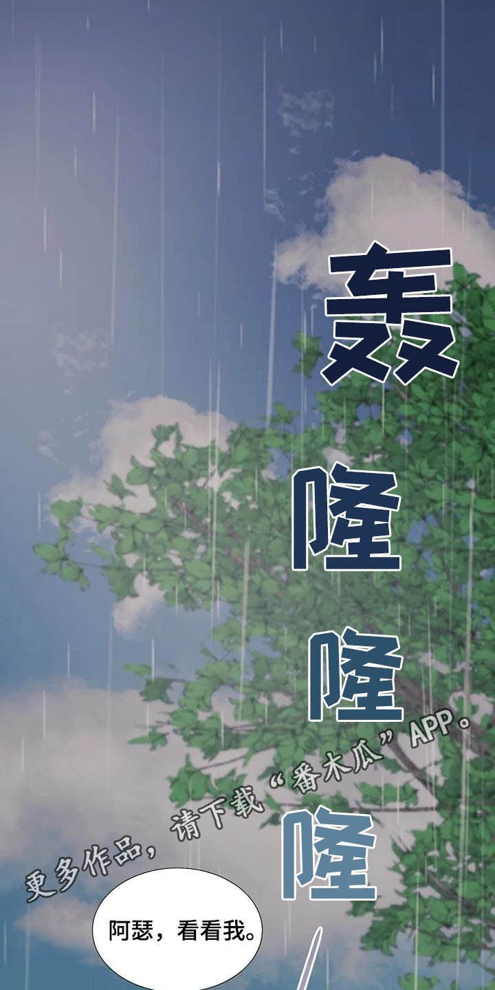 第41章：仅此而已