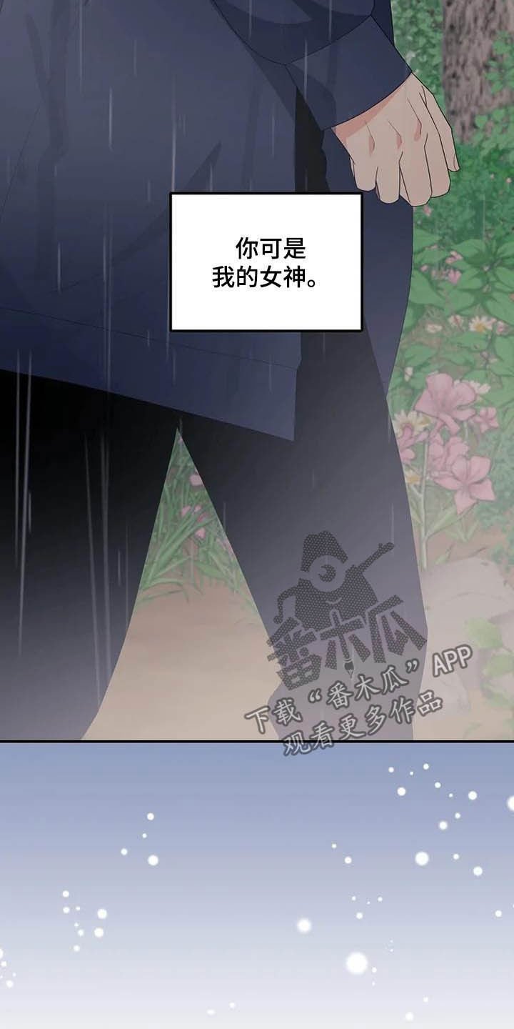 第41章：仅此而已
