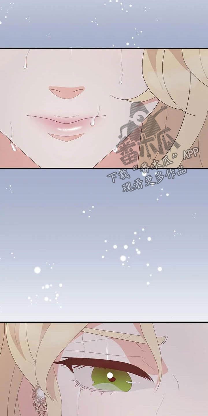 第43章：天平秤