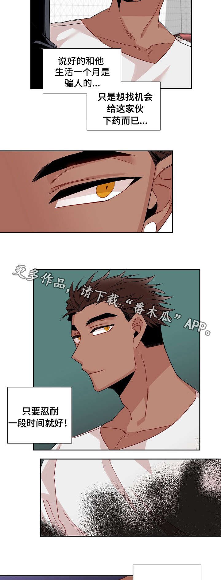 第13章：手段