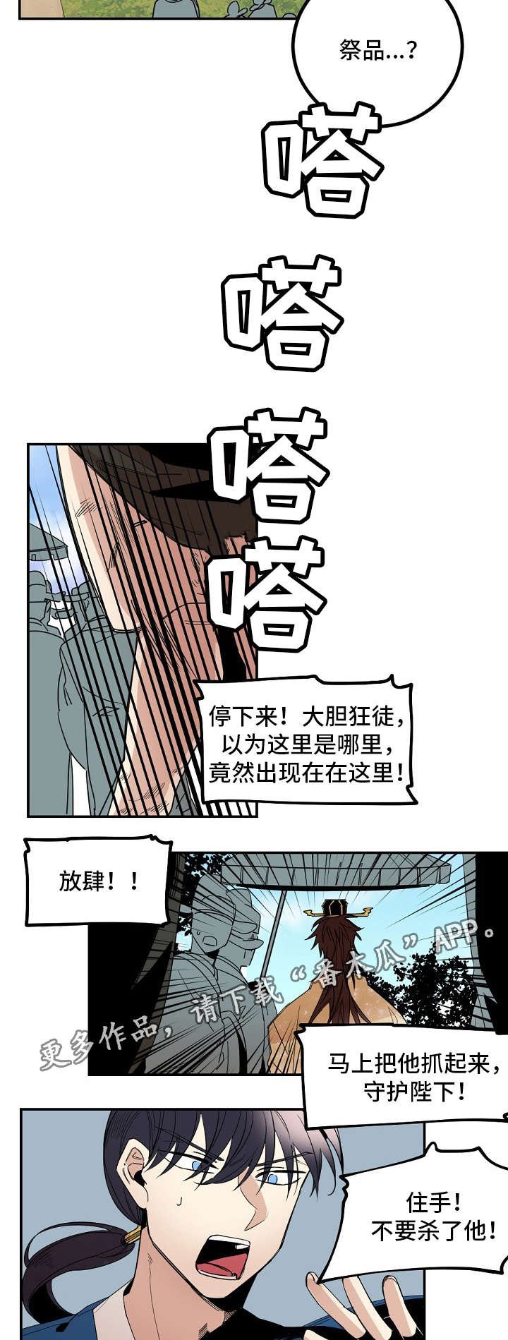 第25章：祭品