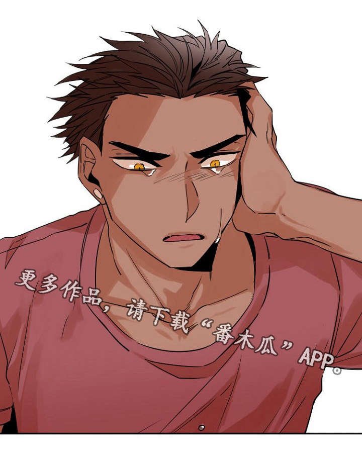第37章：记忆