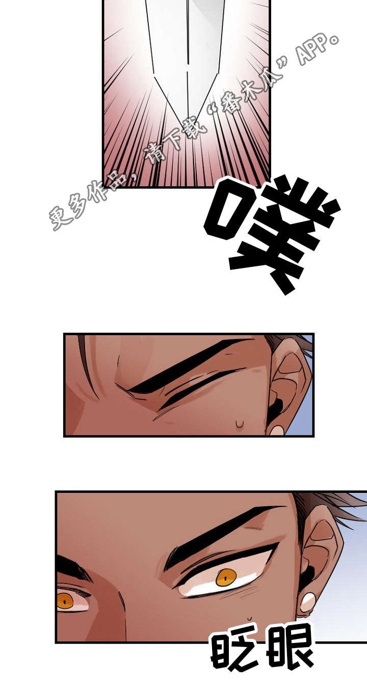 第38章：超越
