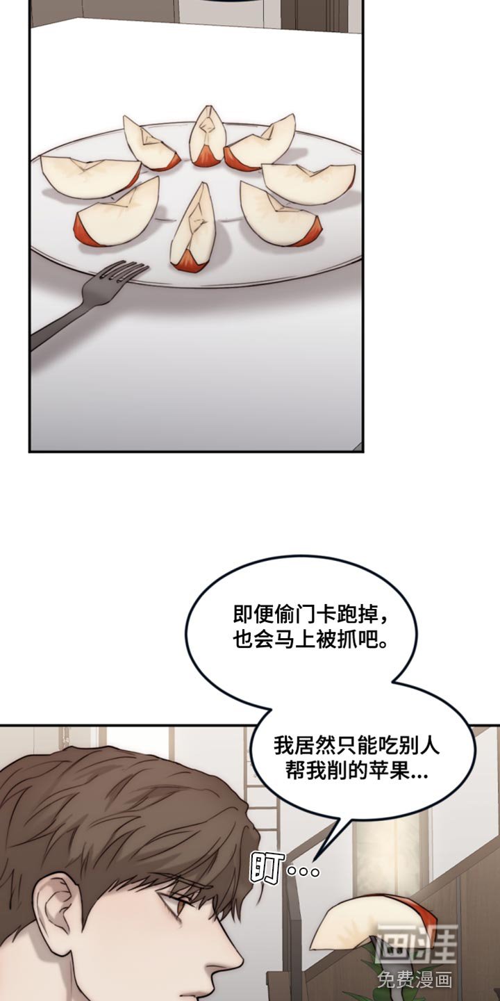 第100章：【第二季】散步