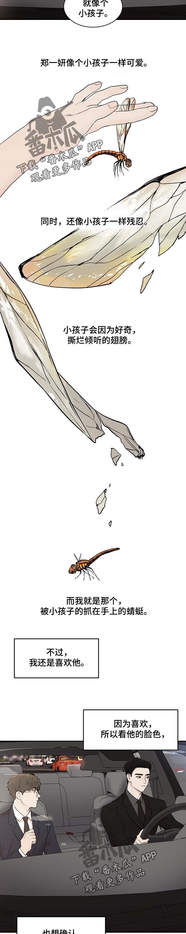第27章：蜻蜓