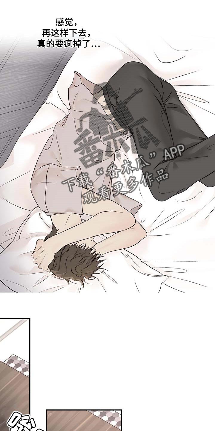 第31章：期待和不安