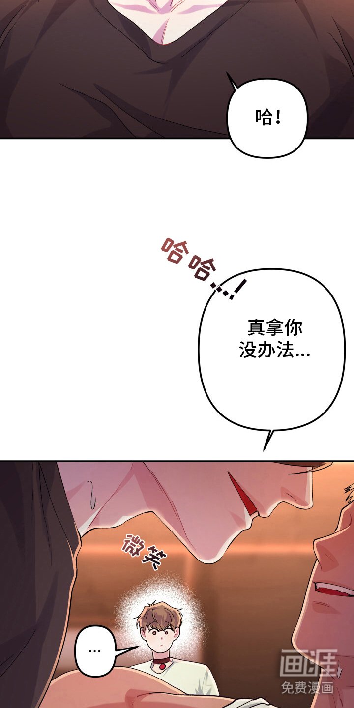 第5章：另一个会员