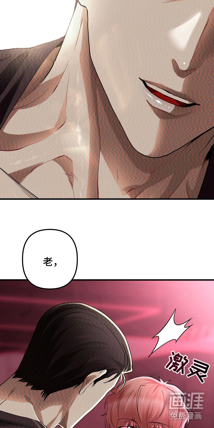 第8章：单车