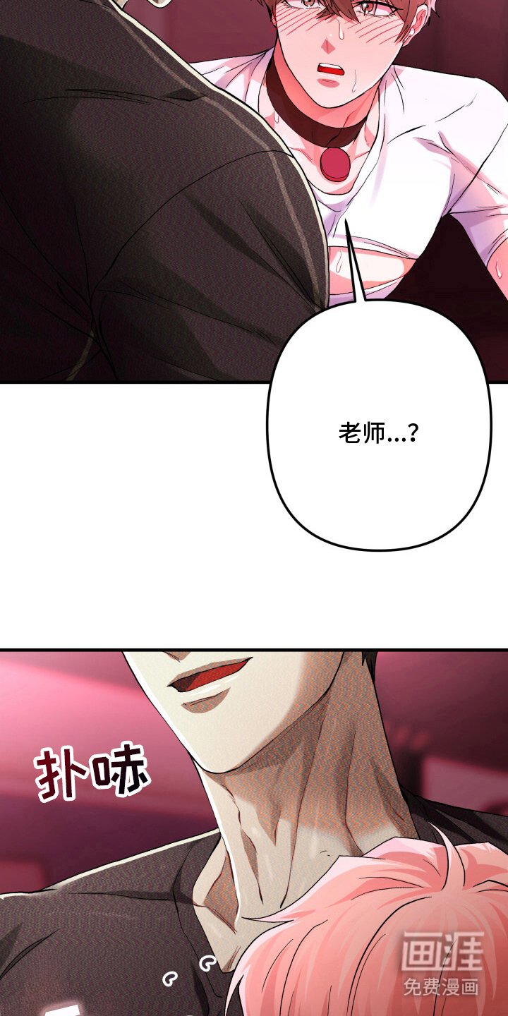 第8章：单车