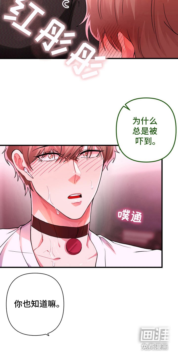第8章：单车