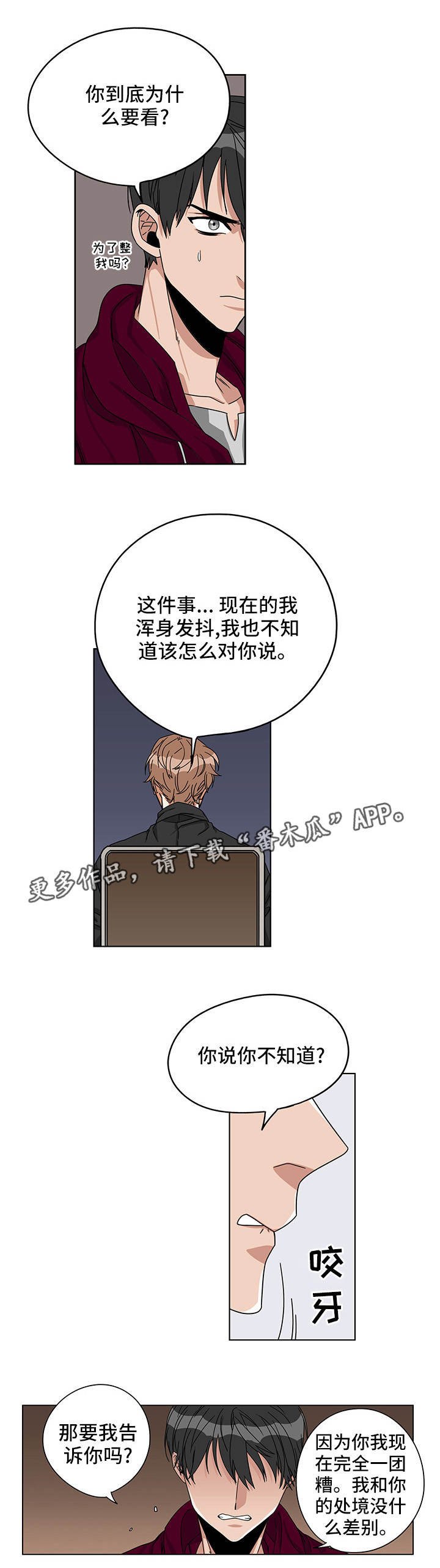 第17章：那个视频
