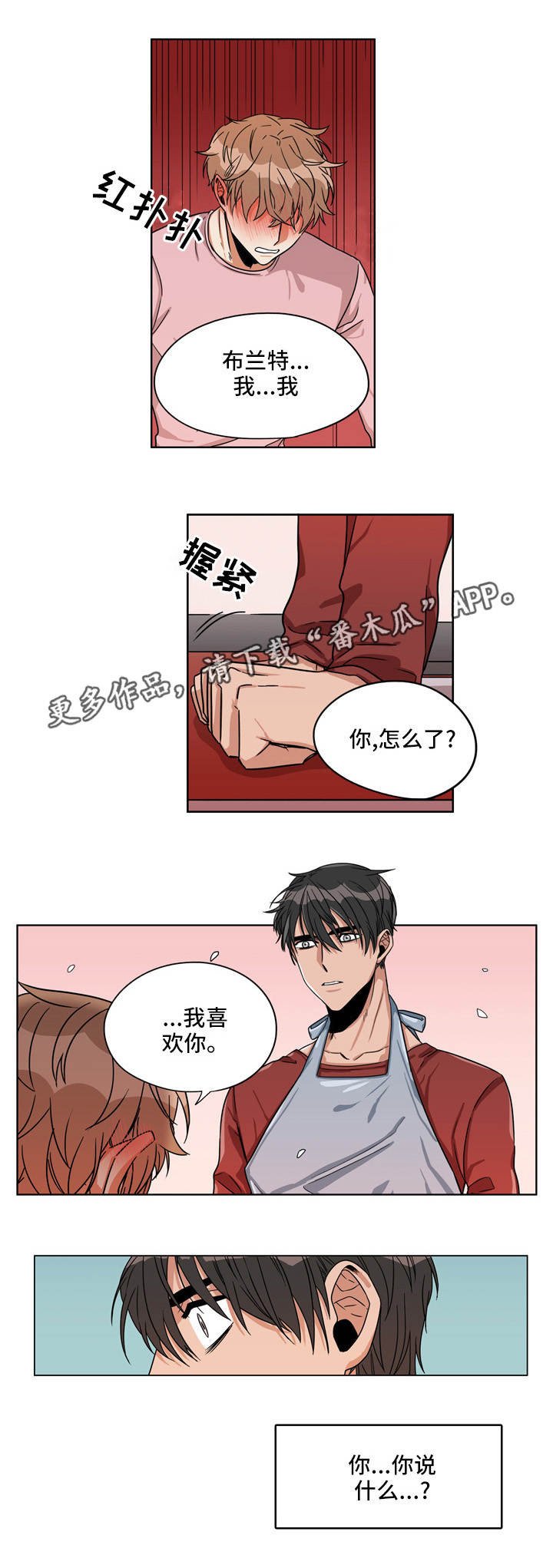 第19章：确认关系