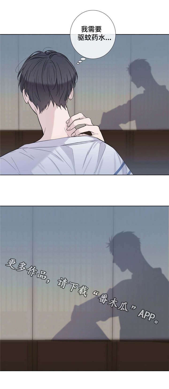 第19章：毒蚊子
