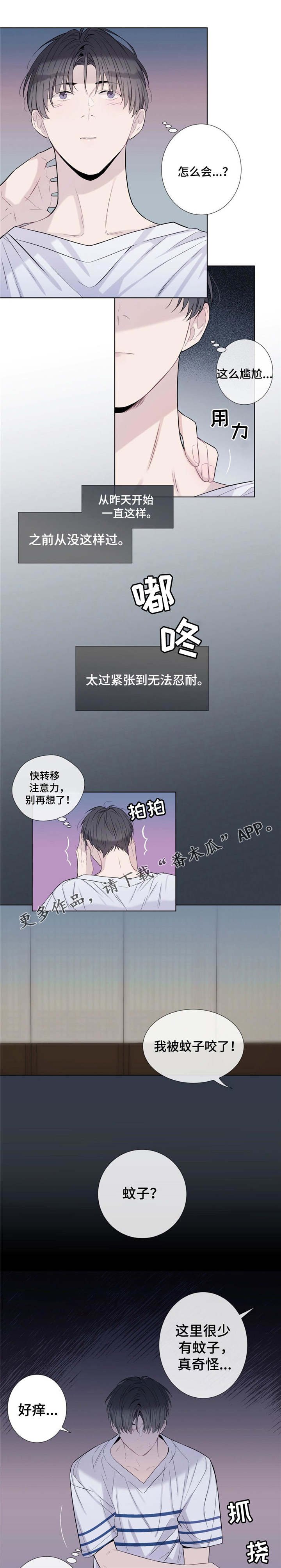 第19章：毒蚊子