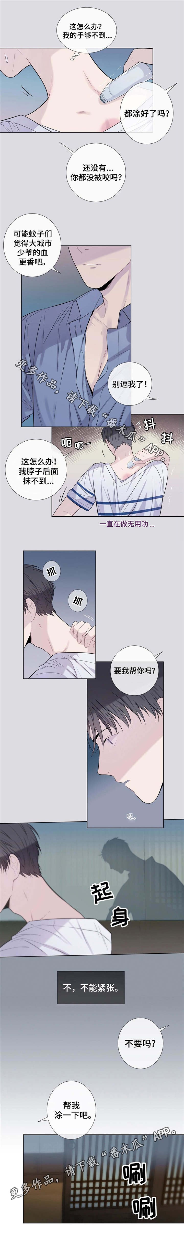 第19章：毒蚊子